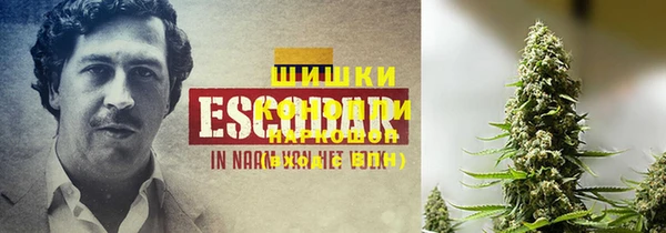 mdma Гусев